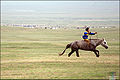 Horse Racing 4425.jpg