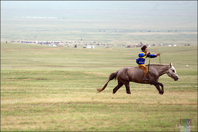 File:Horse Racing 4425.jpg